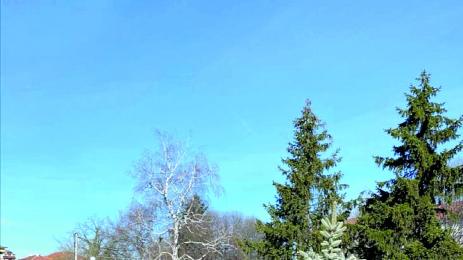 Полицаят който показа човешкото лице на МВР в Пловдив