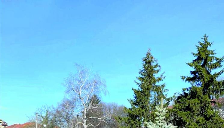 Полицаят който показа човешкото лице на МВР в Пловдив - Полицаят, който показа човешкото 
лице на МВР в Пловдив