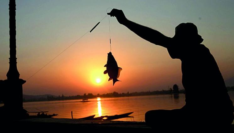 Разрешиха нощния риболов от брега - В София ловят балканска пъстърва по река Искър!