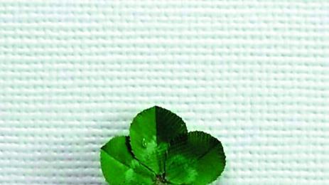 КЪСМЕТЛИЙКА ОТКРИВА ПО 200 четирилистни детелини