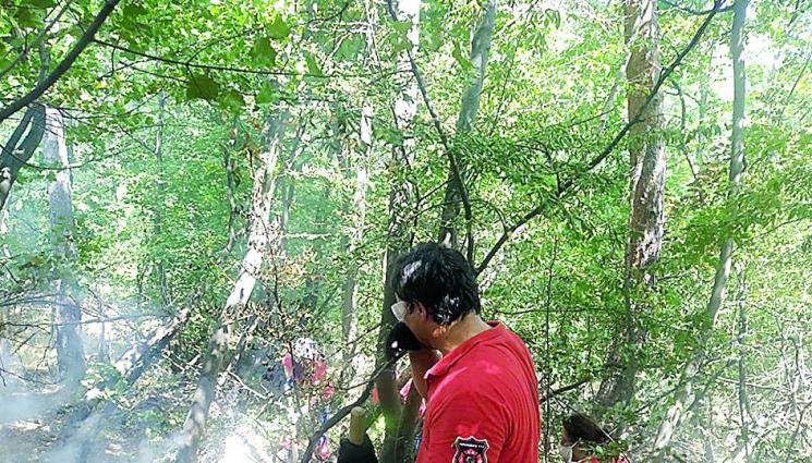 В Кръстевич борят пожарите без вода - В Кръстевич борят пожарите без вода