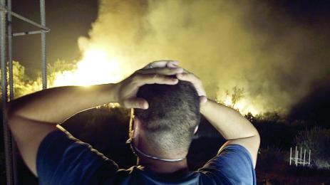 65 жертви на горски пожари в Алжир