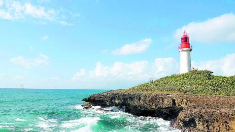 Експерт по шоколада засне над 1000 фара