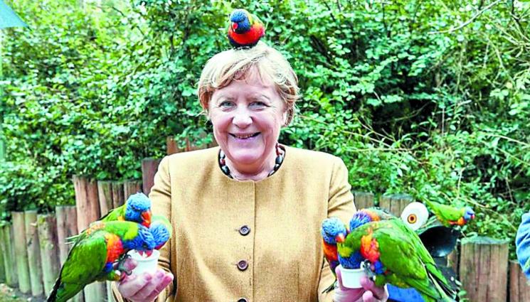 Папагал клъвна Ангела Меркел - Предложиха нова работа на Меркел