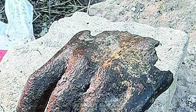 Изровиха златна ръка на император - Изровиха златна ръка 
на император