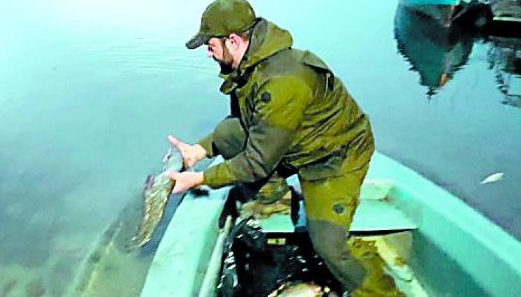 Риба от бракониери дарена на зоопарк - Риба от бракониери дарена на зоопарк