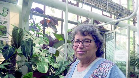 Две саксии мушкато пазят от Ковид