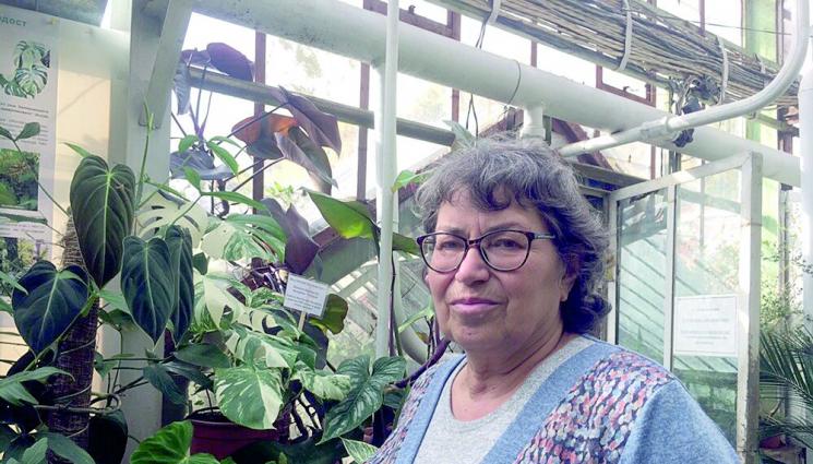 Две саксии мушкато пазят от Ковид - Две саксии мушкато 
пазят от Ковид