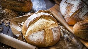 Ежегодният общински празник на хляба в Брезово Никой не е