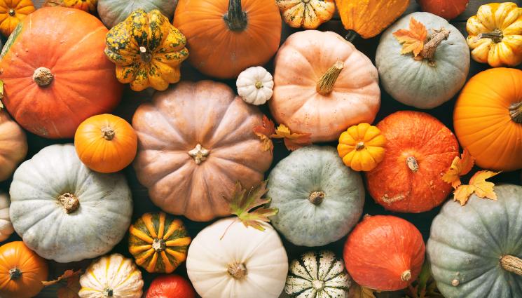Тиква - Полезните храни в цветовете на есента