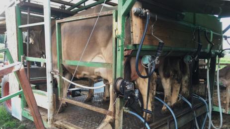 мобилна доилна