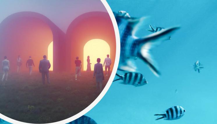 риби - Уникално: Риби предсказват бъдещето, оказва се, че имат еволюционно предимство