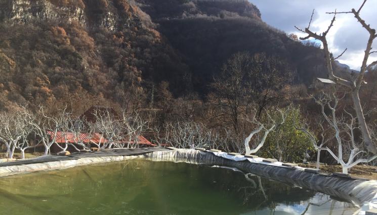 Агро - Агро Телеграф: Пръскаме с бордолезов разтвор срещу болести