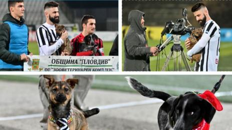 Локомотив Пловдив Локомотив София