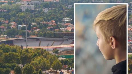 Цървена звезда стадион