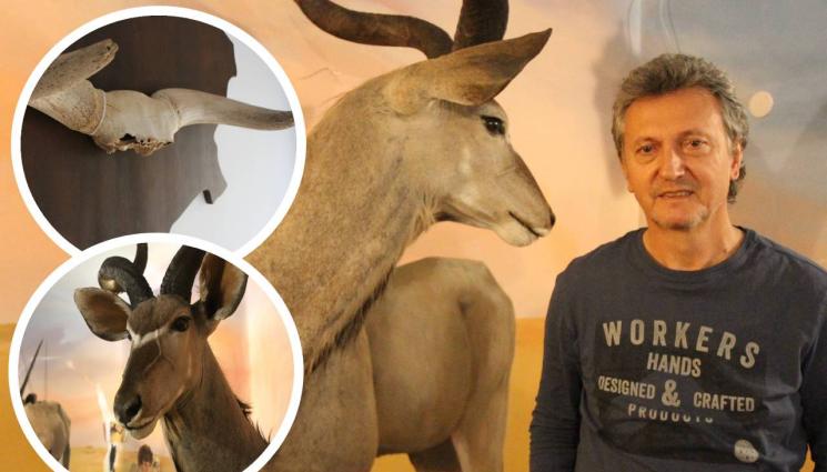 рога - Дипломат пази най-древния ловен трофей в света, Михаил Михайлов 30 г. го съхранява в дома си