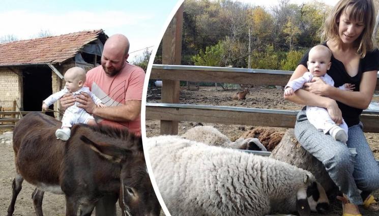коч - Англичани кръстиха бебето си на селски коч, след като се заселиха в търновско село