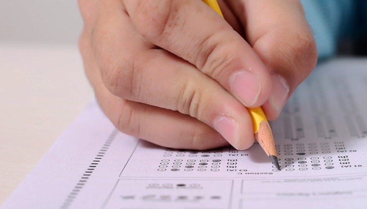 Биоритъм - КАКВОТО ПОСЕЕШ-ТАКОВА ЩЕ ПОЖЪНЕШ: Излязоха оценките от матурите