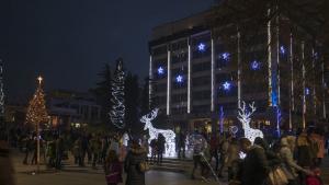 Стара Загора елха