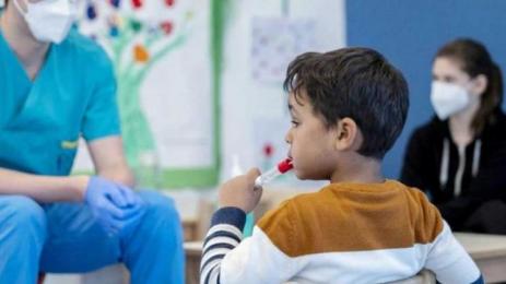 тест коронавирус