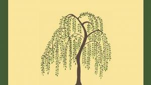 стихосбирка