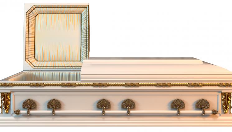 ковчег - ТРАГЕДИЯ: Погребаха в бял ковчег хубавата Елена, убита от кандидат-депутат (СНИМКИ+ВИДЕО)