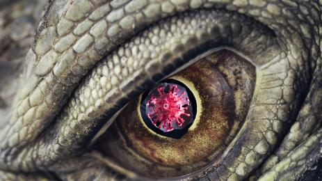 коронавирус