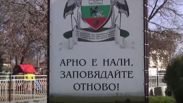 Момичето, което превръща автобусните спирки в красиво и приветливо място (ВИДЕО)