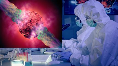 коронавирус