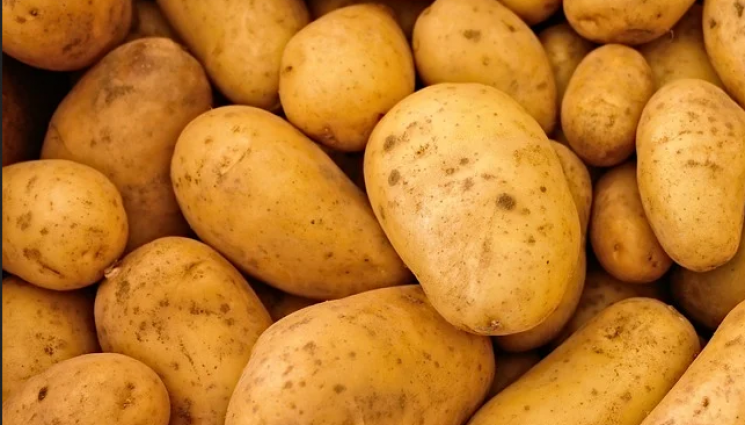 Агро - Агро Телеграф: Лошо съхранение разваля картофите в склада