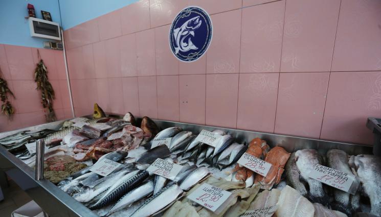 Никулден БГНЕС - ЗА НИКУЛДЕН: Шаранът скъп, минаваме на сафрид, цената на морската риба падна до 3 лева