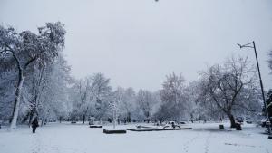 сняг