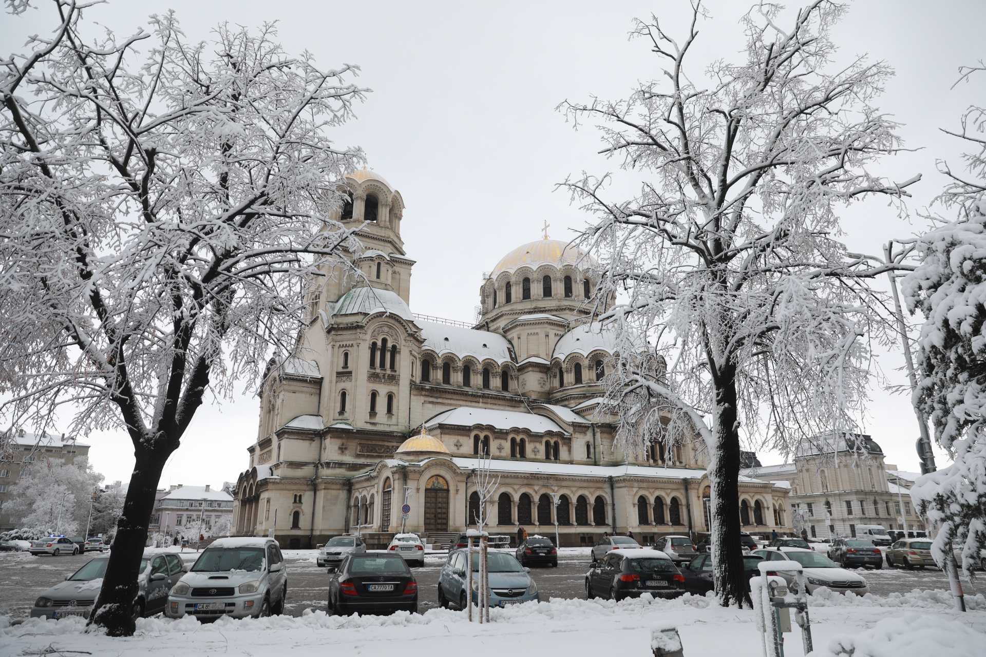 <p>Дърво падна в Докторската градина в София</p>