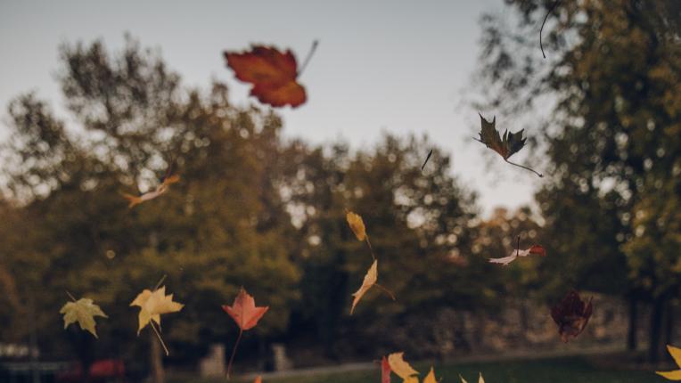  Таро за декември: с дребни стъпки към по-широк небосвод 
