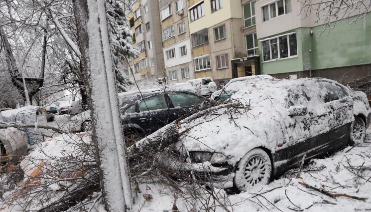 сняг - Десетки сигнали в първия снежен ден от столичани за счупени клони и паднали дървета, както и първи глоби (ГАЛЕРИЯ)
