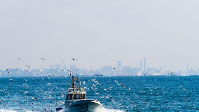  Корабокрушенец оцеля 22 часа в морето край бреговете на Япония