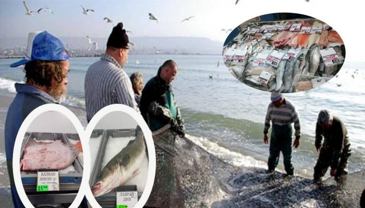 Риболов - И ЛОВЕЦ СЪМ, И РИБАР СЪМ: Морето гъмжи от чернокоп, дивият лефер удари 50 лв., калканът - 25 лв. за кг