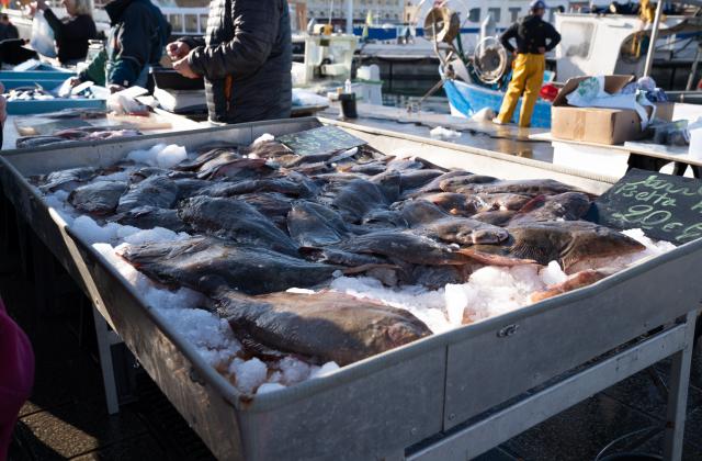 От декември 2023 г. до декември 2024 г. цената на