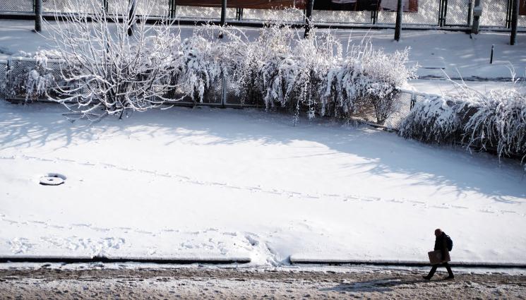 Биоритъм - БИОРИТЪМ: Как да преборим хроничната преумора