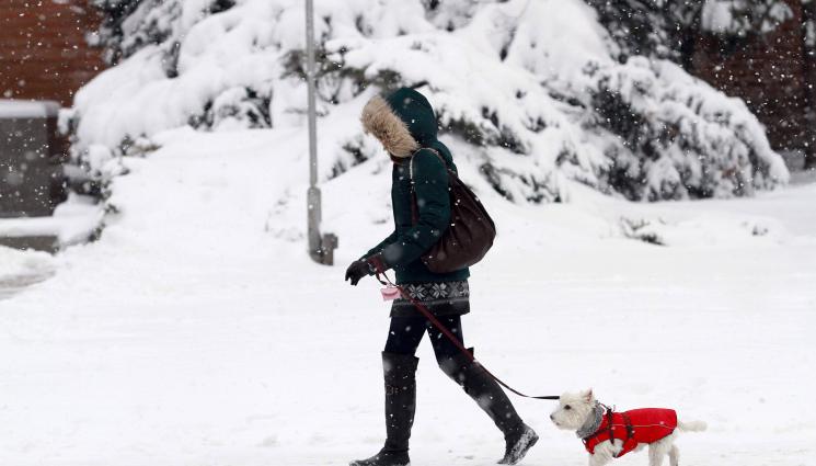 сняг - Най-голяма е снежната покривка в Плевен - 22 сантиметра