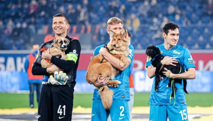 Зенит - Зенит повтори Локо Пловдив, излезе с кучета на терена