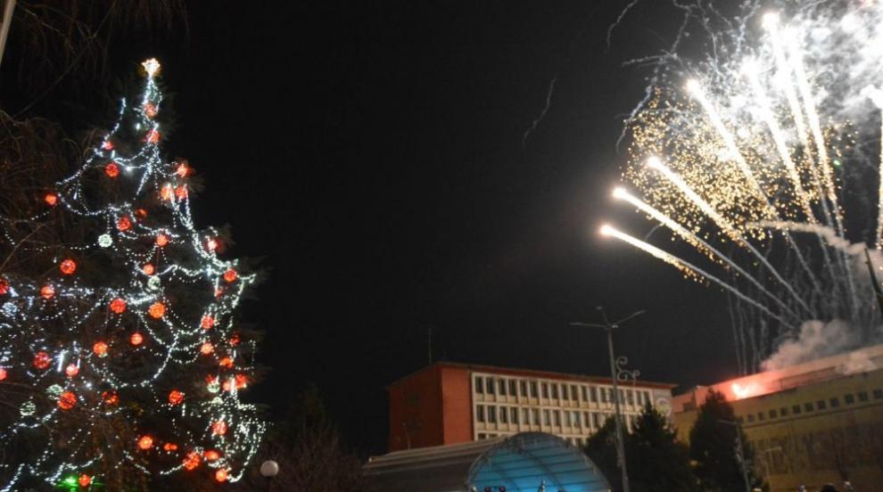 Най-голямото коледно живо дърво в Европа заблестя в Димитровград (ГАЛЕРИЯ)