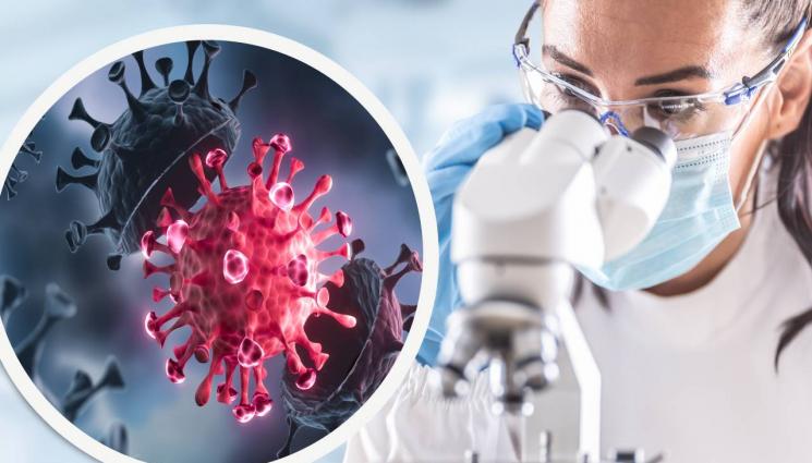 covid - ФАТАЛНИ ПОСЛЕДИЦИ: COVID-19 намали средната продължителност на живота с повече от година!