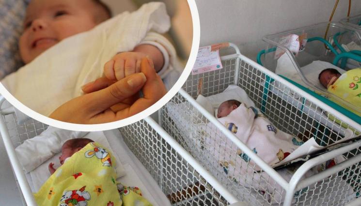 бейби бум - Бейби бум в четвъртата вълна: На път сме да бием петгодишен рекорд: София и Пловдив първенци, Видин счупи каръка