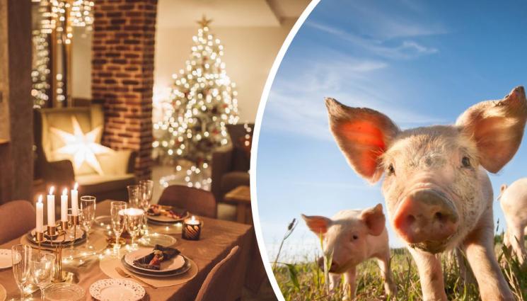 свинско - Броим 80 лева за нашенско прасе на трапезата, доставят ни го до вратата с касова бележка