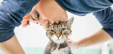 10 неща, които правите, а котката ви мрази - част 1