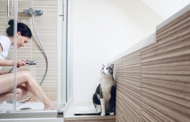 котка и жена в баня