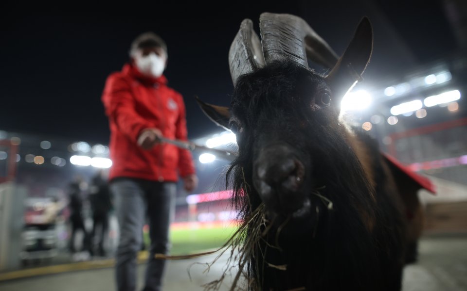 Кьолн - Аугсбург, Бундеслига