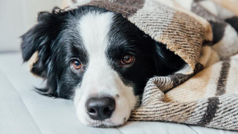 зима хороскоп