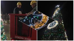 Казанлък коте елха